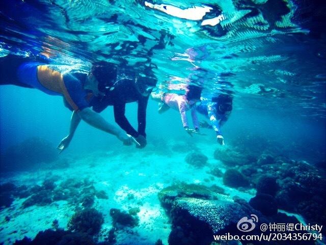 春节打卡游玩指南,解锁会展中心新玩法